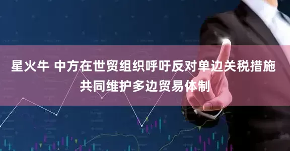 星火牛 中方在世贸组织呼吁反对单边关税措施 共同维护多边贸易体制
